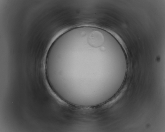 X0000101960957200807180659