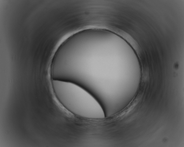 X0000101960958200807180659