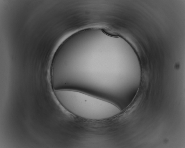 X0000101960959200807180659