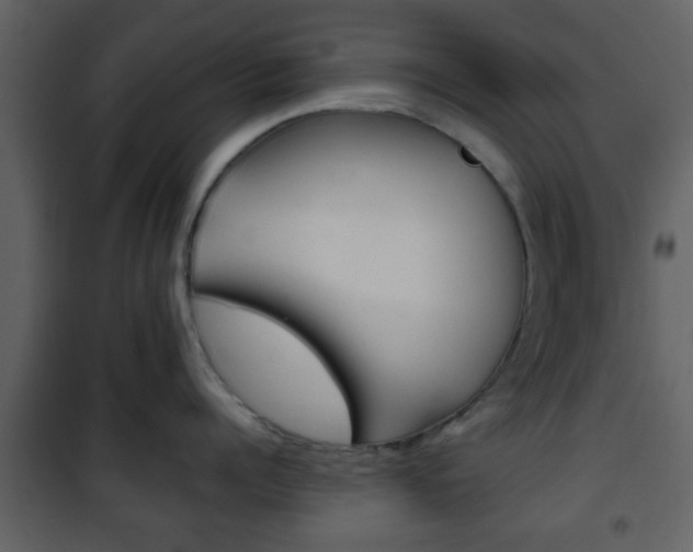 X0000101960960200807180659