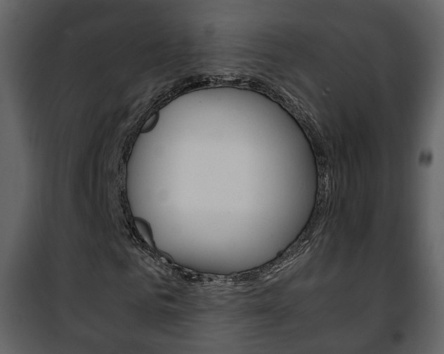 X0000101960961200807180658