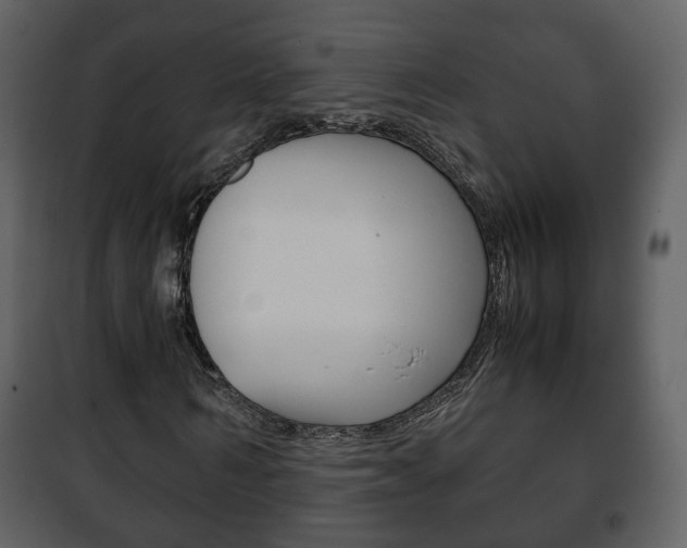 X0000101960962200807180658