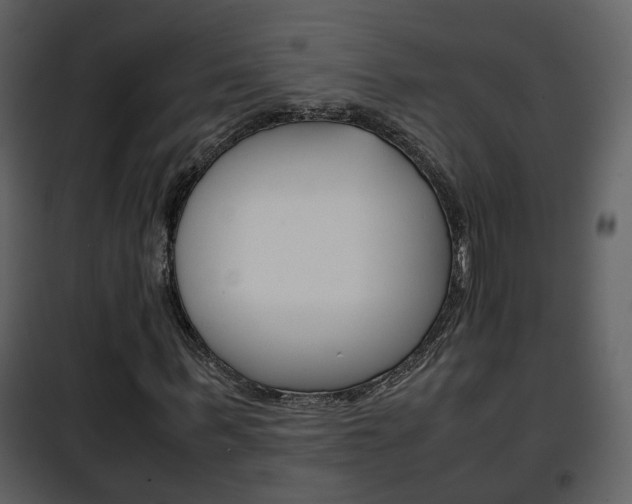 X0000101960963200807180658