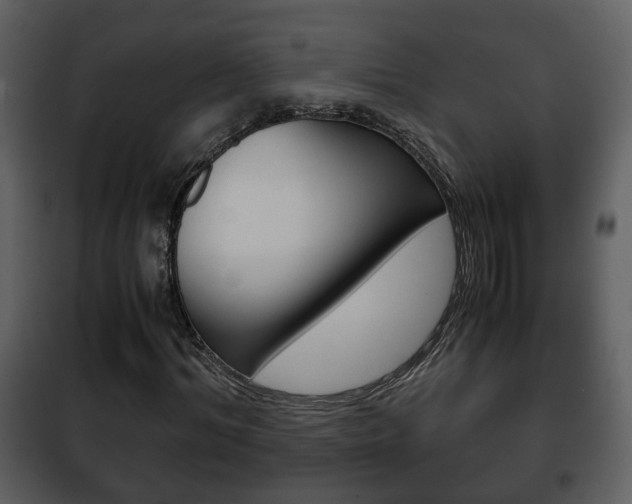 X0000101960964200807180658