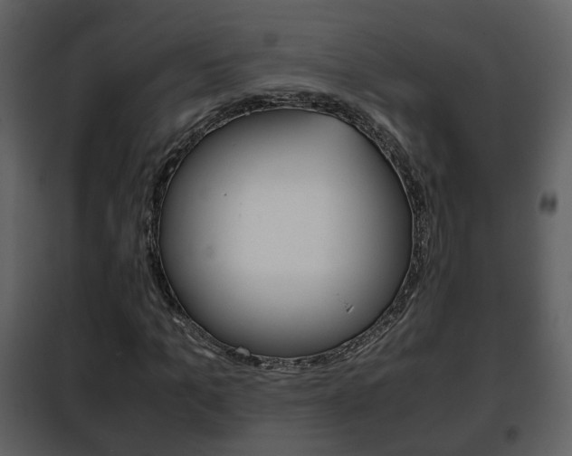 X0000101960965200807180658