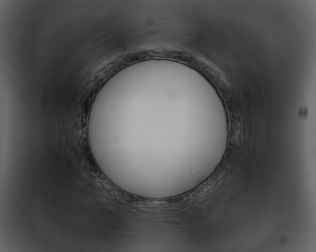 X0000101960966200807180658