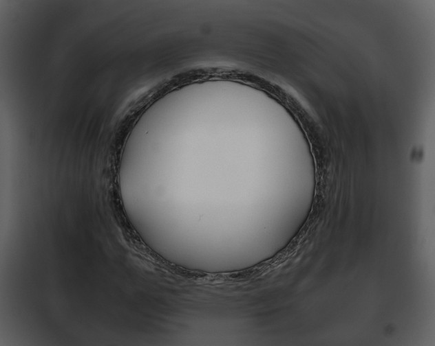 X0000101960967200807180658