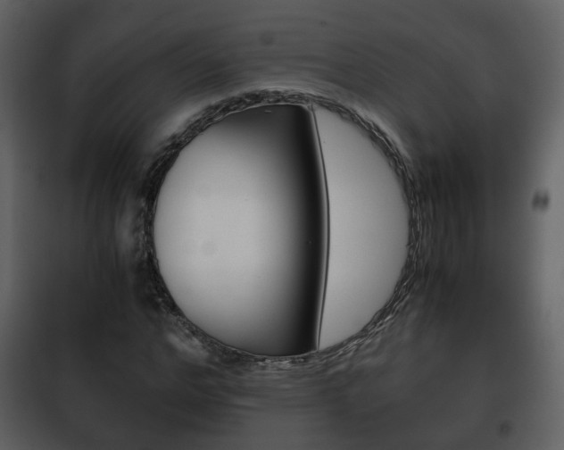 X0000101960968200807180658