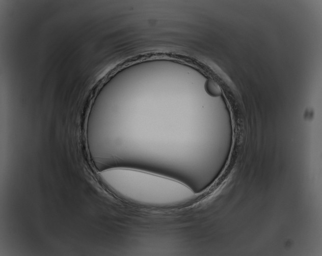X0000101960969200807180658