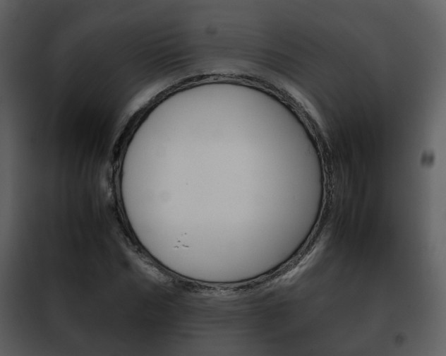 X0000101960970200807180658