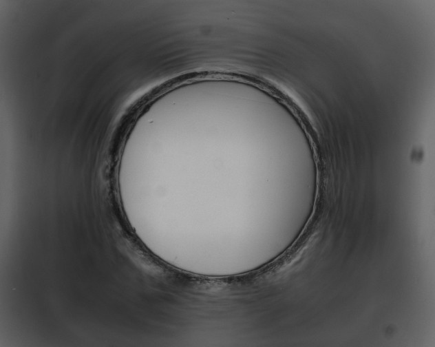 X0000101960971200807180658