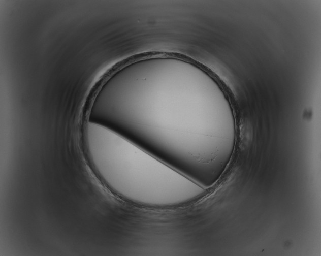 X0000101960972200807180658