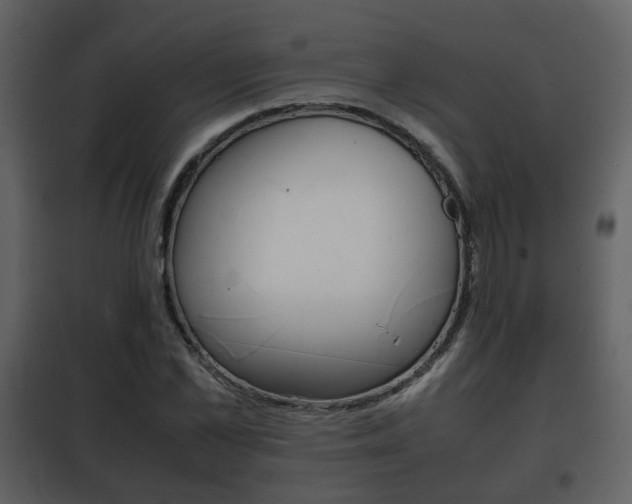 X0000101960973200807180658