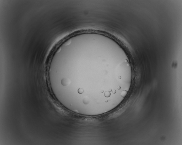 X0000101960974200807180658