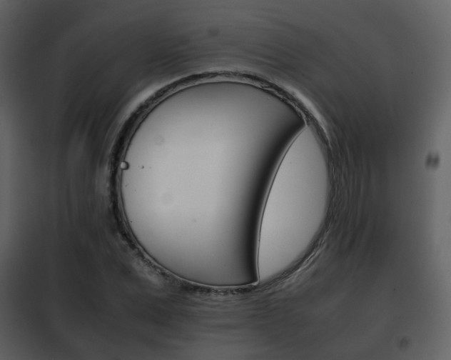 X0000101960975200807180658