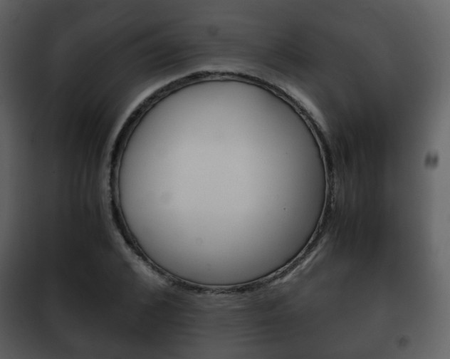 X0000101960976200807180658