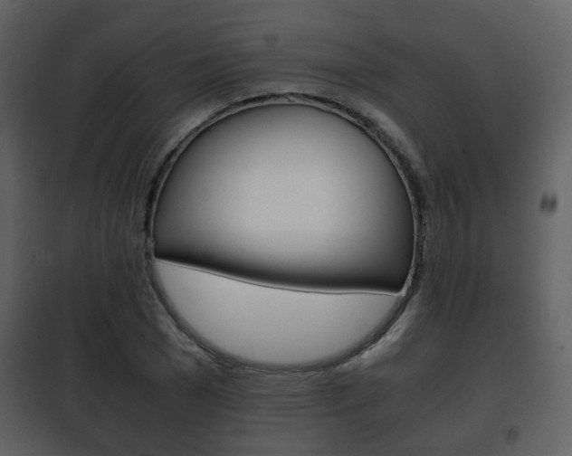 X0000101960977200807180658