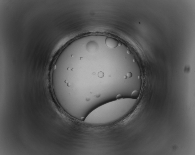 X0000101960978200807180658