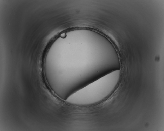 X0000101960979200807180658