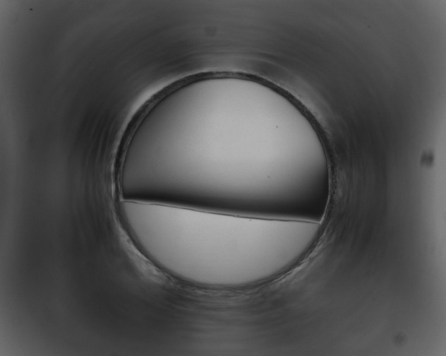 X0000101960980200807180658