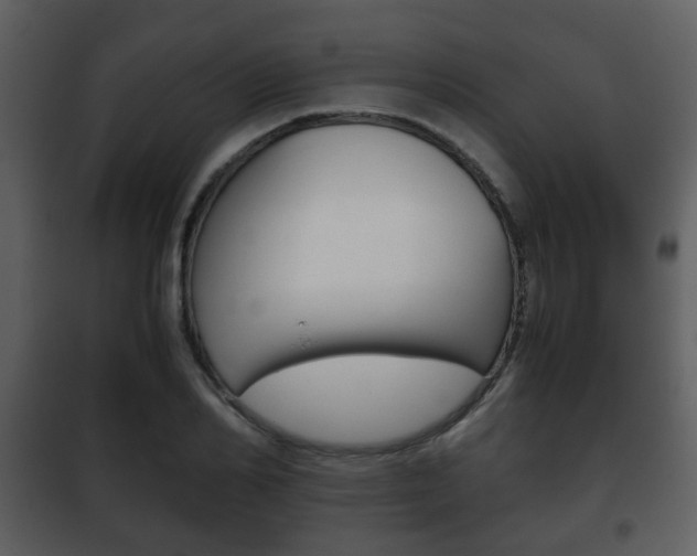 X0000101960982200807180658
