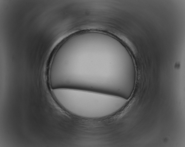X0000101960983200807180658