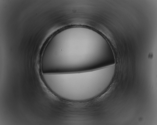 X0000101960984200807180658