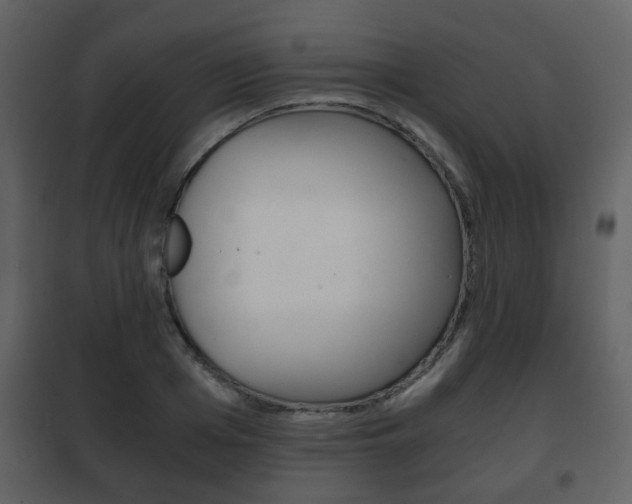 X0000101960985200807180658