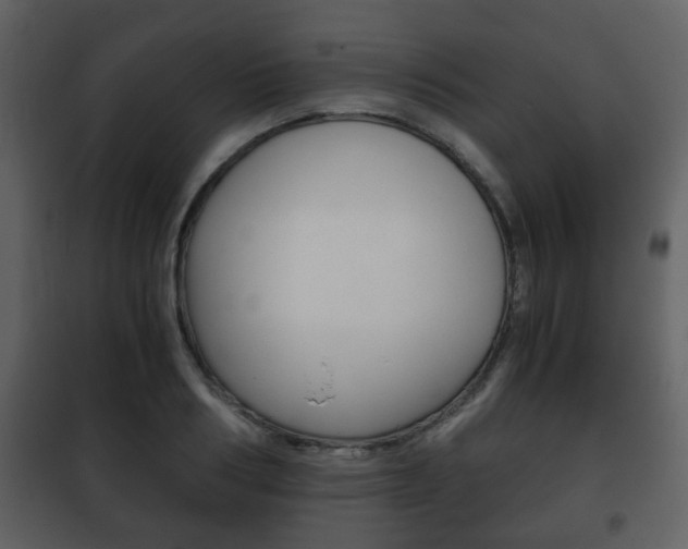 X0000101960986200807180658