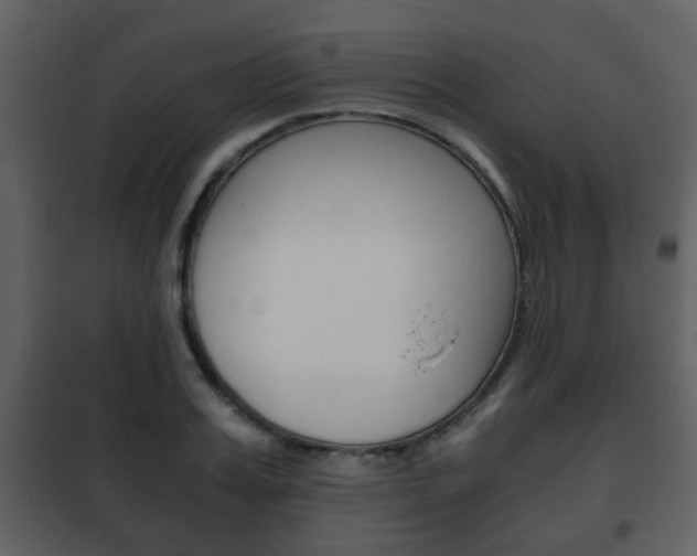 X0000101960987200807180658