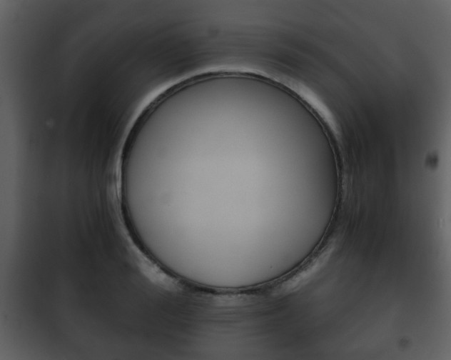 X0000101960988200807180658