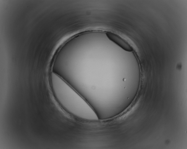 X0000101960989200807180658