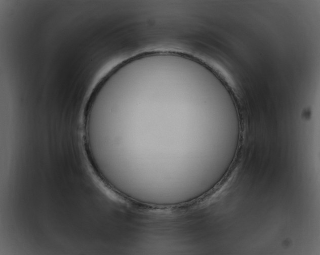 X0000101960990200807180658
