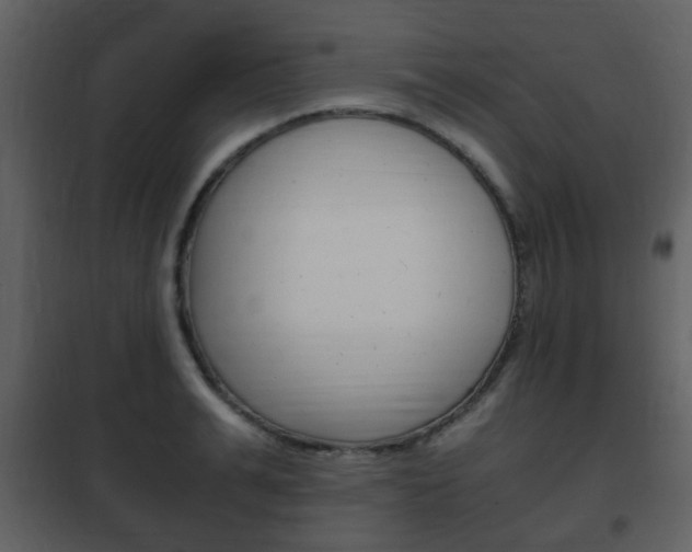 X0000101960991200807180658