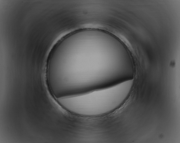 X0000101960992200807180658