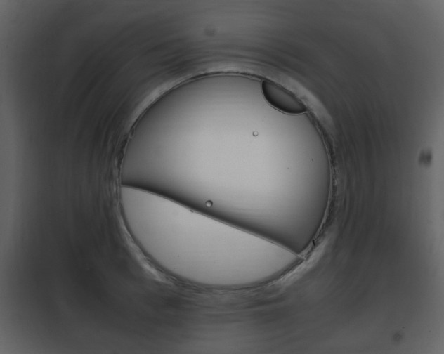 X0000101960993200807180658