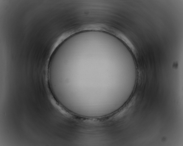 X0000101960994200807180658