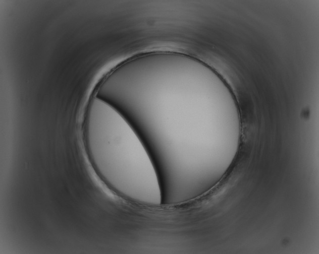 X0000101960995200807180658