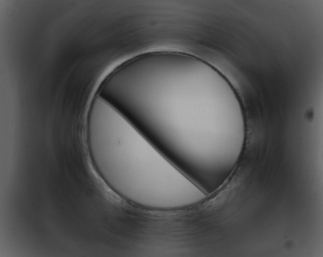 X0000101960996200807180658