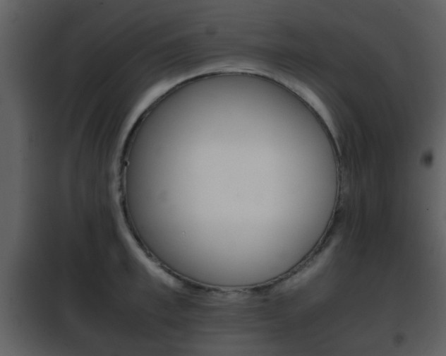 X0000101960997200807180658