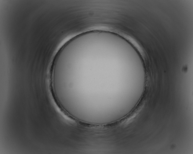X0000101960999200807180658