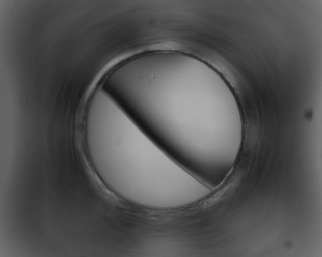 X0000101961000200807180658