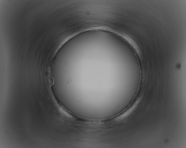 X0000101961001200807180658