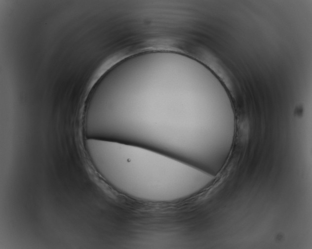 X0000101961002200807180658