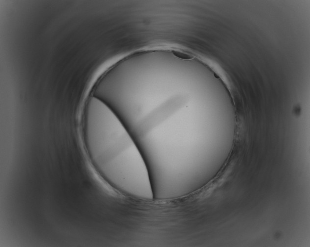 X0000101961003200807180658