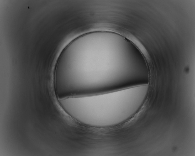 X0000101961004200807180658