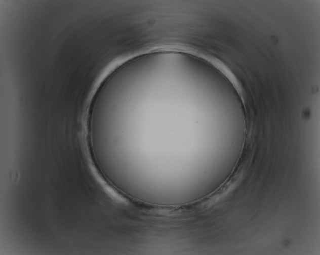 X0000101961005200807180658