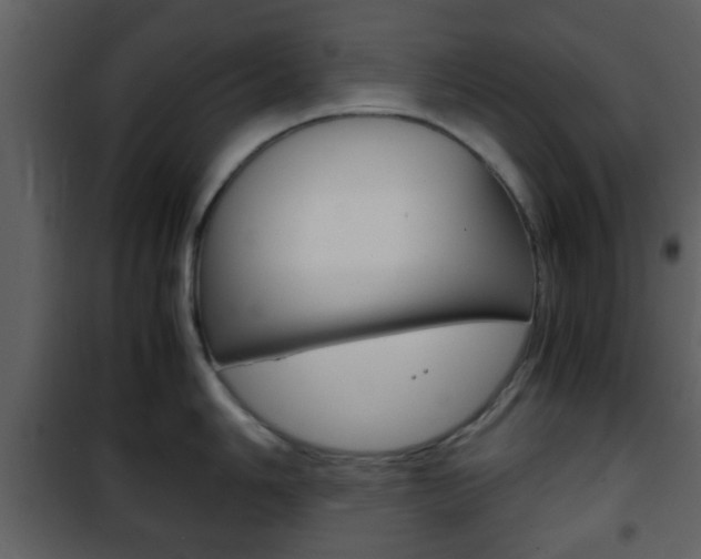 X0000101961006200807180658