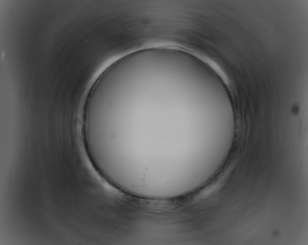 X0000101961007200807180658
