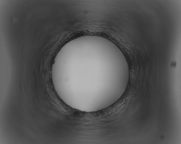 X0000101961009200807180657